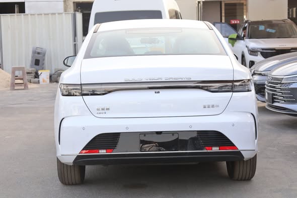 بي واي دي ديستروير 05 2025 - صورة 5