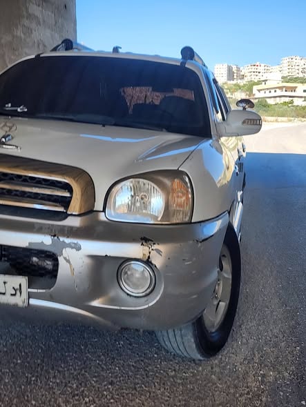 هيونداي سانتا في 2003 - صورة 4