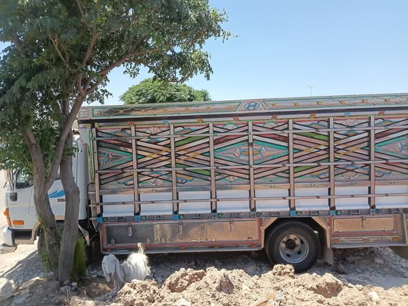 هيونداي HD72 2005 - صورة 1