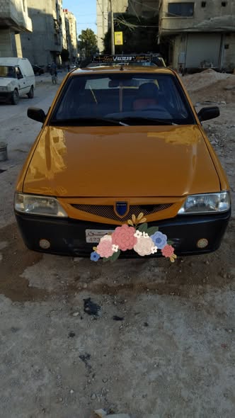 داسيا سولينزا 2003 - صورة 4