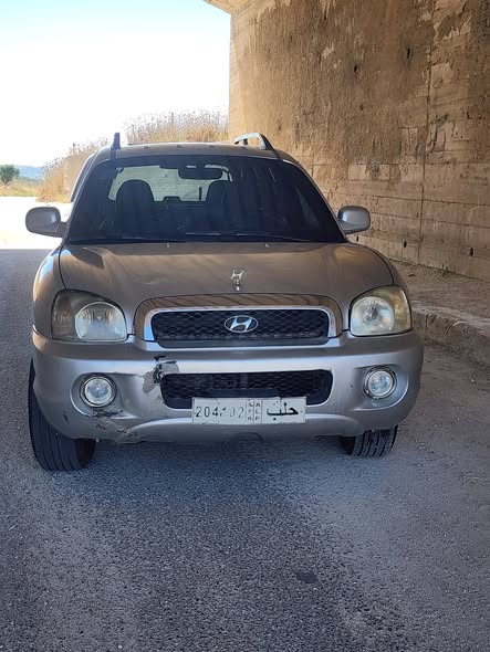 هيونداي سانتا في 2003 - صورة 1
