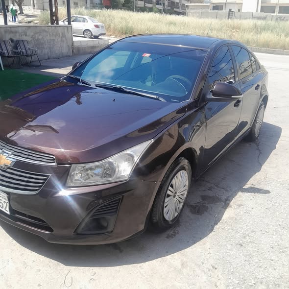 شفر كروز 2015 - صورة 5