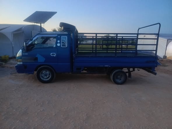 هونداي H100 1998 - صورة 4