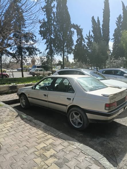 بيجو روى 2006 - صورة 3
