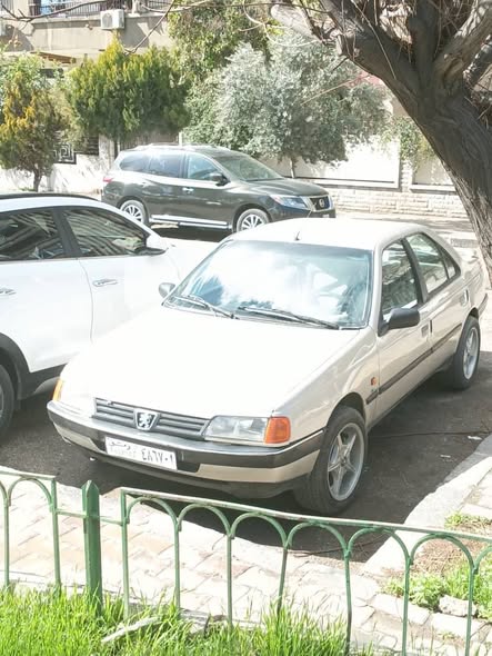 بيجو روى 2006 - صورة 4