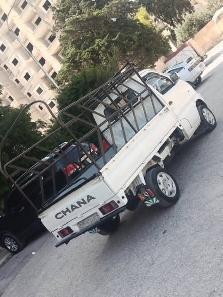 شانا ستار 2010 - صورة 5