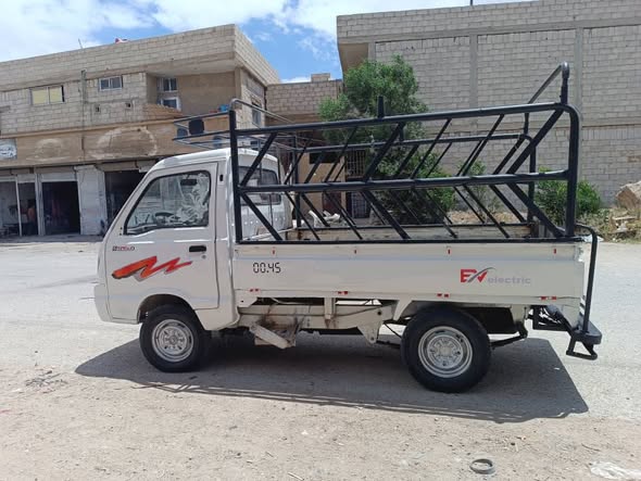 شانا قطة 2007 - صورة 3
