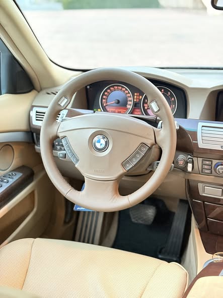 بي إم دبليو 730 2008 - صورة 2