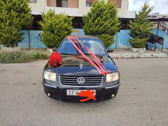 فولكس فاغن باسات 2003 - صورة 1