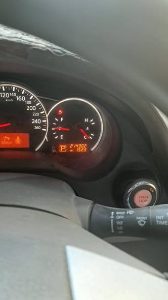 نيسان التيما 2010 - صورة 2