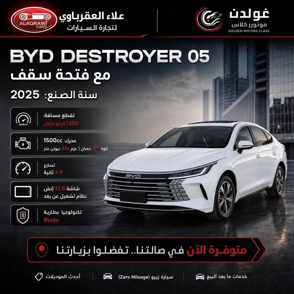 بي واي دي ديستروير 05 2025 - صورة 1