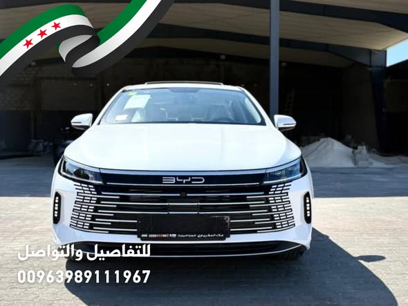 بي واي دي ديستروير 05 2025 - صورة 3