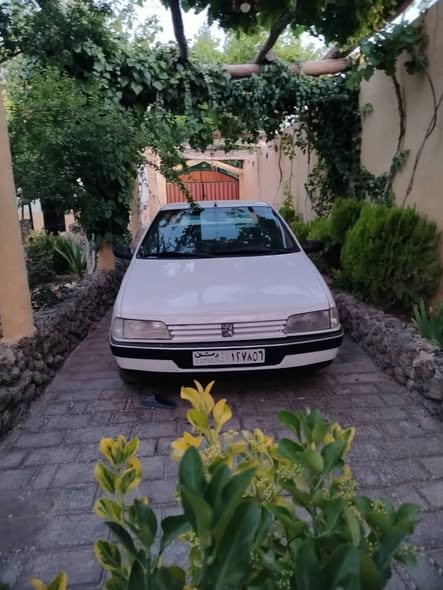 بيجو 405 1993 - صورة 3