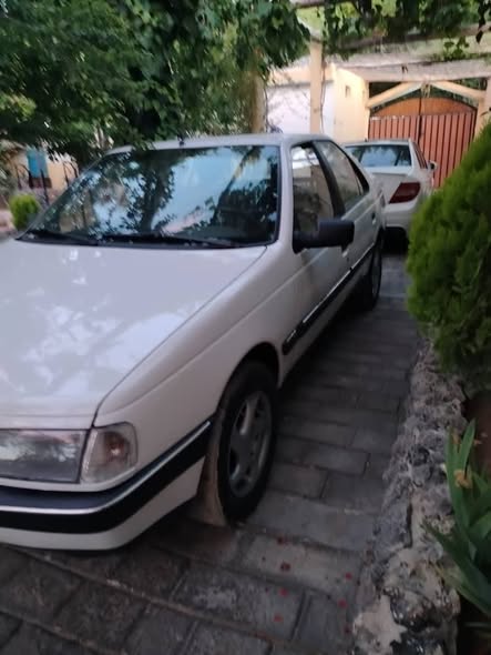بيجو 405 1993 - صورة 5