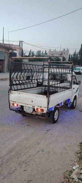 شانا قطة 2005 - صورة 2