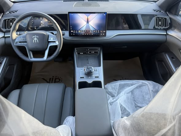 بي واي دي سونغ برو 2025 - صورة 5