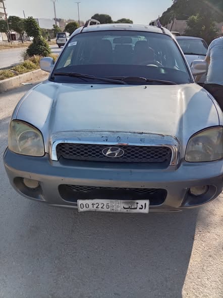 هيونداي سنتافي 2004 - صورة 5