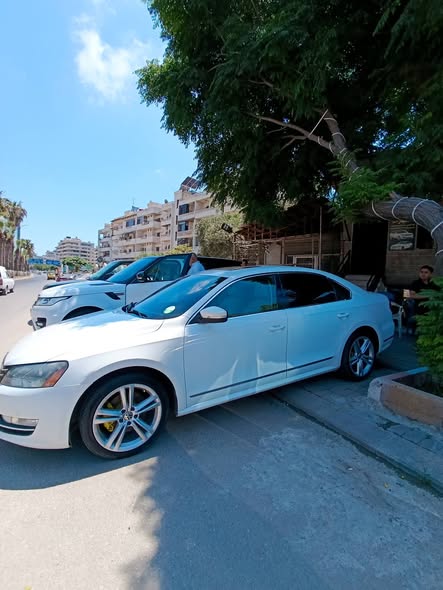 فولكس فاجن باسات 2013 - صورة 2