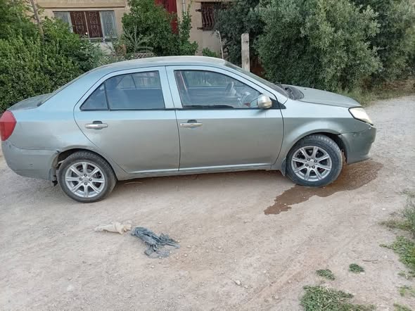 جيلي جيلي 2009 - صورة 1