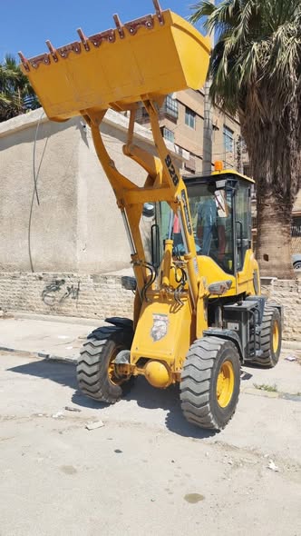 شاندونغ zl 928 2026 - صورة 4