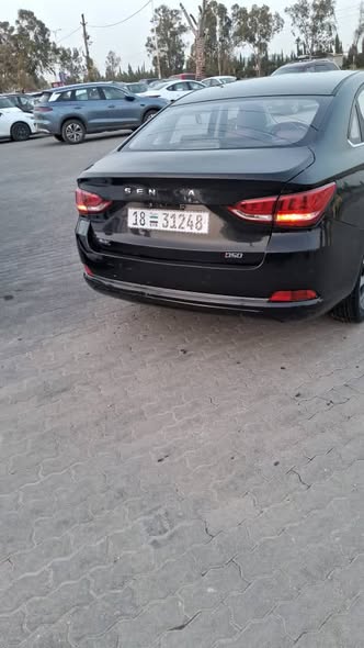 سينوفا D50 2020 - صورة 1