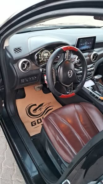 سينوفا D50 2020 - صورة 4
