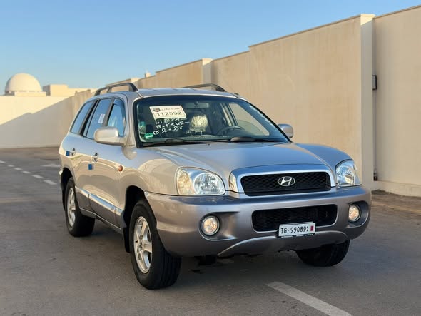 هيونداي سنتافيه 2006 - صورة 2