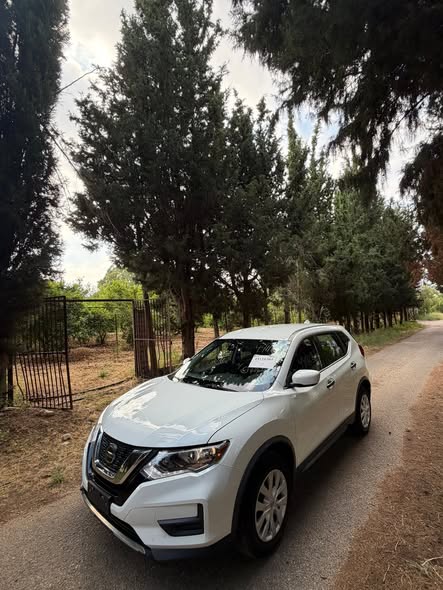 نيسان روج 2019 - صورة 1