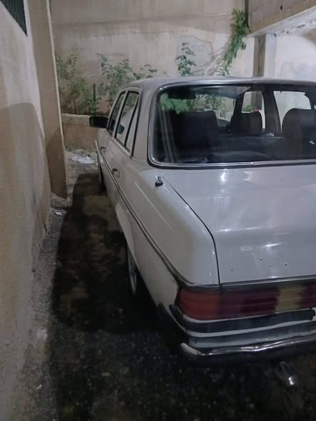 مرسيدس 230 1980 - صورة 2