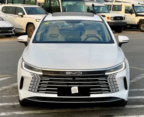 بي واي دي ديستروير 05 2025 - صورة 3