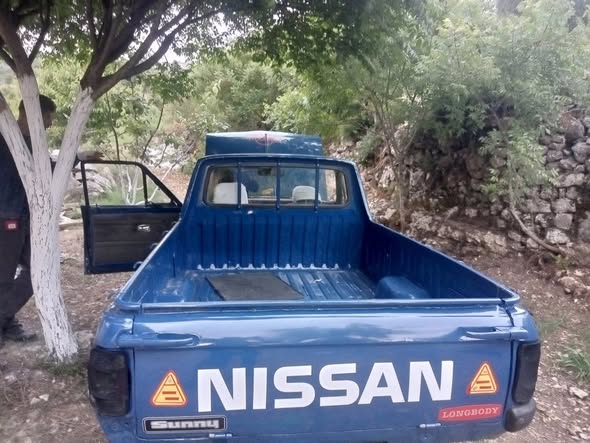 نيسان بيك اب 1994 - صورة 2