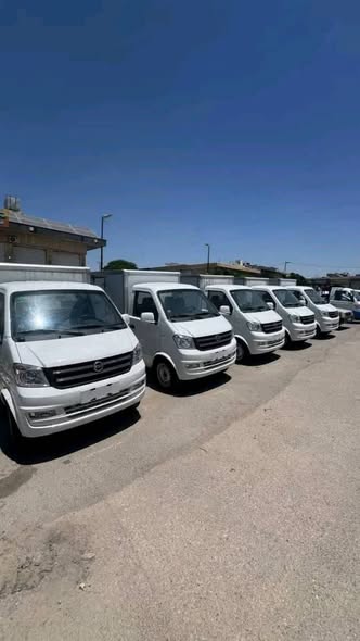 دي اف اس كيه 150 2026 - صورة 1