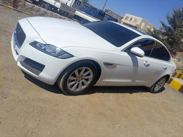 جكور XF 2017 - صورة 1
