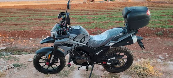 تكن الدالي 300 2025 - صورة 1