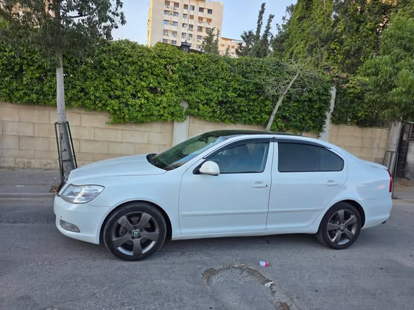 سكودا أوكتافيا 2010 - صورة 3