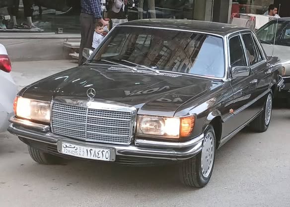 مرسيدس أبو شنب 1976 - صورة 2