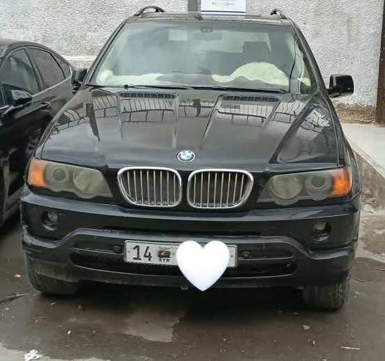 سايبا سايبا 2008 - صورة 1