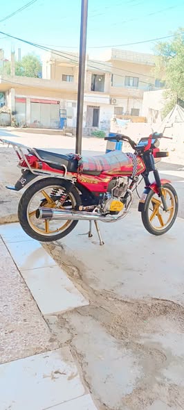 ايمنا 150 2026 - صورة 3