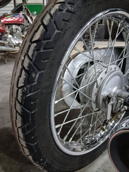لونسن 150 2025 - صورة 5