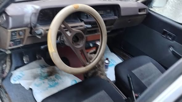 ميتسوبيشي لانسر 1983 - صورة 2