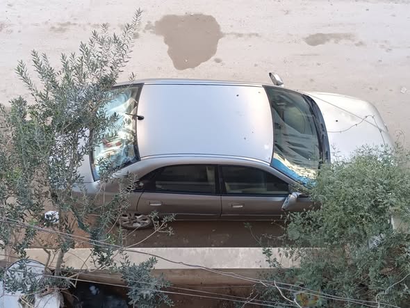 بروتون واجا 2006 - صورة 1