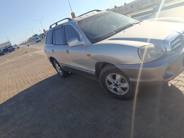 هيونداي سانتافي 2003 - صورة 3