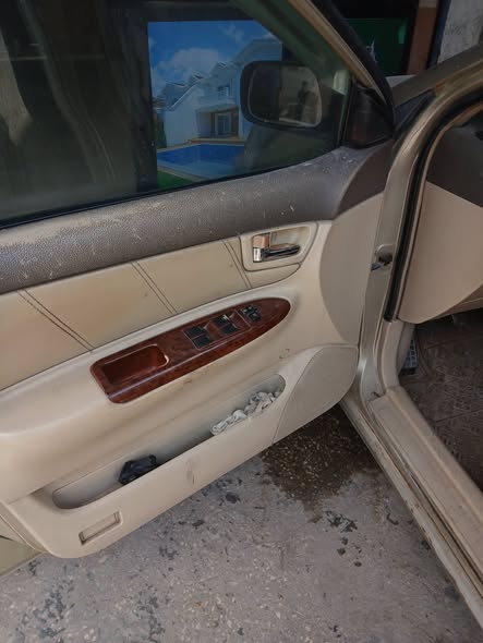 بي واي دي اف ٣ 2007 - صورة 2
