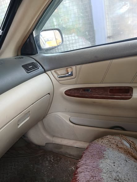 بي واي دي اف ٣ 2007 - صورة 3