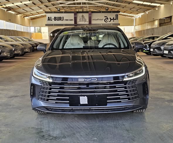 بي واي دي ديستروير 05 2025 - صورة 2
