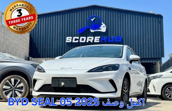 بي واي دي سونغ 2025 - صورة 5