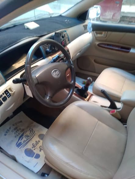 بي واي دي F3 2010 - صورة 4