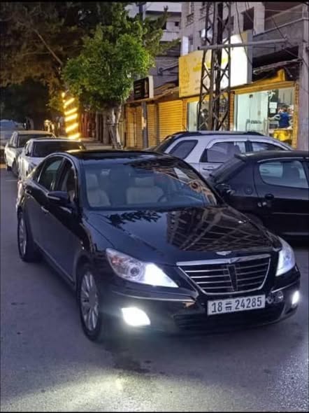 جينسيس جينسيس 2010 - صورة 2