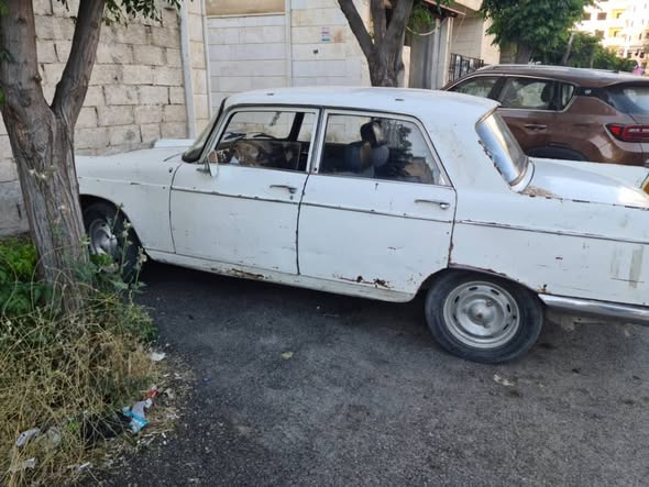 بيجو 404 1973 - صورة 2