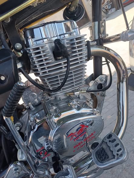 بارت سيزر 150 2025 - صورة 2
